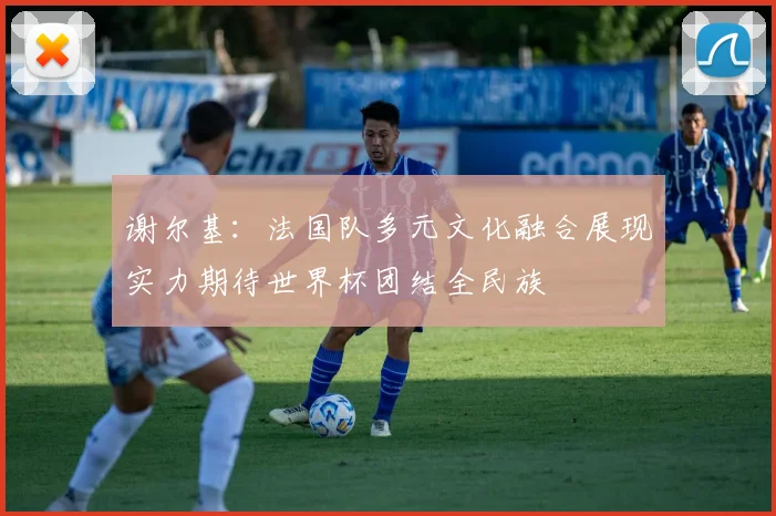 谢尔基：法国队多元文化融合展现实力期待世界杯团结全民族